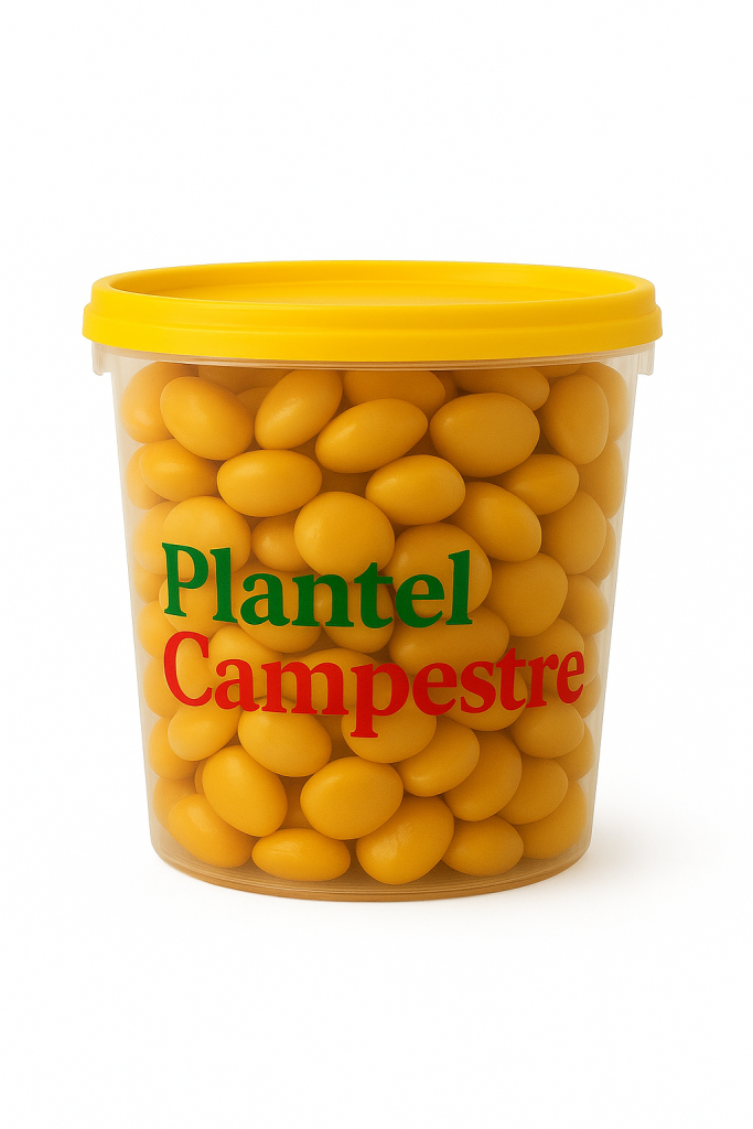 Image 26_10_2025, 18_40_09